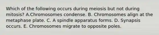 Which of the following occurs during meiosis but not during mitosis? A.Chromosomes condense. B. Chromosomes align at the metaphase plate. C. A spindle apparatus forms. D. Synapsis occurs. E. Chromosomes migrate to opposite poles.