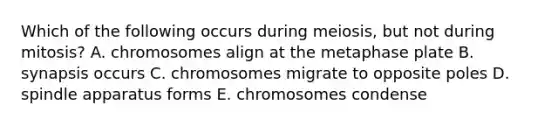 Which of the following occurs during meiosis, but not during mitosis? A. chromosomes align at the metaphase plate B. synapsis occurs C. chromosomes migrate to opposite poles D. spindle apparatus forms E. chromosomes condense