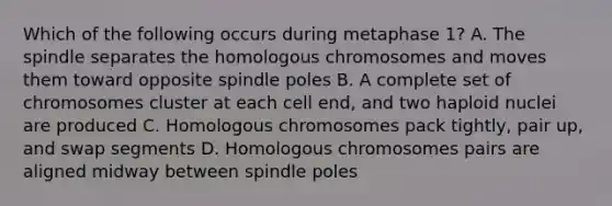 Which of the following occurs during metaphase 1? A. The spindle separates the homologous chromosomes and moves them toward opposite spindle poles B. A complete set of chromosomes cluster at each cell end, and two haploid nuclei are produced C. Homologous chromosomes pack tightly, pair up, and swap segments D. Homologous chromosomes pairs are aligned midway between spindle poles