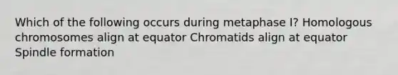 Which of the following occurs during metaphase I? Homologous chromosomes align at equator Chromatids align at equator Spindle formation