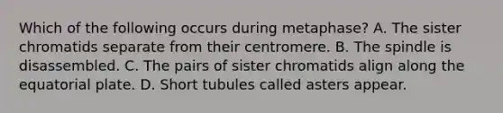 Which of the following occurs during metaphase? A. The sister chromatids separate from their centromere. B. The spindle is disassembled. C. The pairs of sister chromatids align along the equatorial plate. D. Short tubules called asters appear.