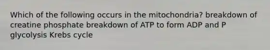 Which of the following occurs in the mitochondria? breakdown of creatine phosphate breakdown of ATP to form ADP and P glycolysis Krebs cycle