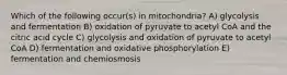 Which of the following occur(s) in mitochondria? A) glycolysis and fermentation B) oxidation of pyruvate to acetyl CoA and the citric acid cycle C) glycolysis and oxidation of pyruvate to acetyl CoA D) fermentation and oxidative phosphorylation E) fermentation and chemiosmosis