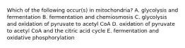 Which of the following occur(s) in mitochondria? A. glycolysis and fermentation B. fermentation and chemiosmosis C. glycolysis and oxidation of pyruvate to acetyl CoA D. oxidation of pyruvate to acetyl CoA and the citric acid cycle E. fermentation and oxidative phosphorylation