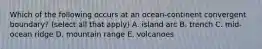 Which of the following occurs at an ocean-continent convergent boundary? (select all that apply) A. island arc B. trench C. mid-ocean ridge D. mountain range E. volcanoes