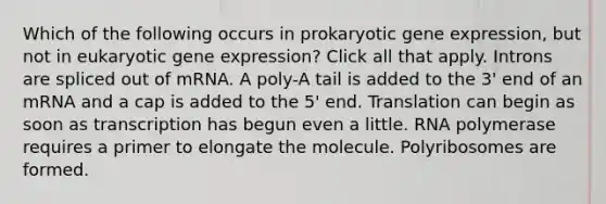 Which of the following occurs in prokaryotic gene expression, but not in eukaryotic gene expression? Click all that apply. Introns are spliced out of mRNA. A poly-A tail is added to the 3' end of an mRNA and a cap is added to the 5' end. Translation can begin as soon as transcription has begun even a little. RNA polymerase requires a primer to elongate the molecule. Polyribosomes are formed.