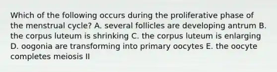 Which of the following occurs during the proliferative phase of the menstrual cycle? A. several follicles are developing antrum B. the corpus luteum is shrinking C. the corpus luteum is enlarging D. oogonia are transforming into primary oocytes E. the oocyte completes meiosis II