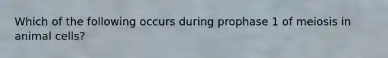 Which of the following occurs during prophase 1 of meiosis in animal cells?