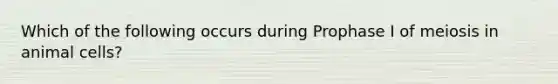 Which of the following occurs during Prophase I of meiosis in animal cells?