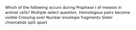 Which of the following occurs during Prophase I of meiosis in animal cells? Multiple select question. Homologous pairs become visible Crossing-over Nuclear envelope fragments Sister chromatids split apart