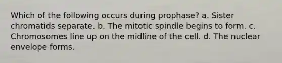 Which of the following occurs during prophase? a. Sister chromatids separate. b. The mitotic spindle begins to form. c. Chromosomes line up on the midline of the cell. d. The nuclear envelope forms.