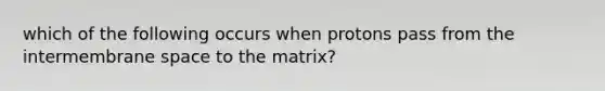 which of the following occurs when protons pass from the intermembrane space to the matrix?