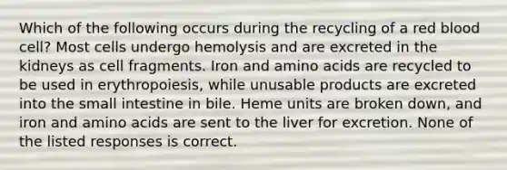 Which of the following occurs during the recycling of a red blood cell? Most cells undergo hemolysis and are excreted in the kidneys as cell fragments. Iron and amino acids are recycled to be used in erythropoiesis, while unusable products are excreted into the small intestine in bile. Heme units are broken down, and iron and amino acids are sent to the liver for excretion. None of the listed responses is correct.