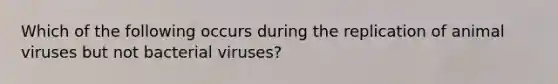 Which of the following occurs during the replication of animal viruses but not bacterial viruses?