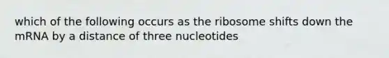 which of the following occurs as the ribosome shifts down the mRNA by a distance of three nucleotides