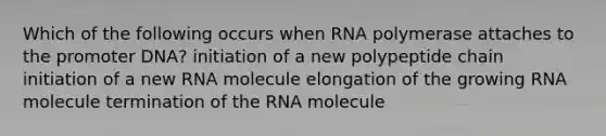 Which of the following occurs when RNA polymerase attaches to the promoter DNA? initiation of a new polypeptide chain initiation of a new RNA molecule elongation of the growing RNA molecule termination of the RNA molecule