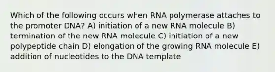 Which of the following occurs when RNA polymerase attaches to the promoter DNA? A) initiation of a new RNA molecule B) termination of the new RNA molecule C) initiation of a new polypeptide chain D) elongation of the growing RNA molecule E) addition of nucleotides to the DNA template