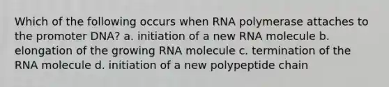 Which of the following occurs when RNA polymerase attaches to the promoter DNA? a. initiation of a new RNA molecule b. elongation of the growing RNA molecule c. termination of the RNA molecule d. initiation of a new polypeptide chain