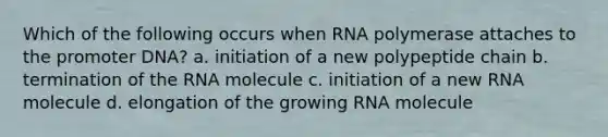 Which of the following occurs when RNA polymerase attaches to the promoter DNA? a. initiation of a new polypeptide chain b. termination of the RNA molecule c. initiation of a new RNA molecule d. elongation of the growing RNA molecule