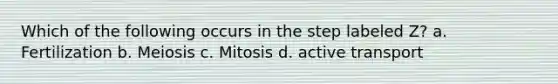 Which of the following occurs in the step labeled Z? a. Fertilization b. Meiosis c. Mitosis d. active transport