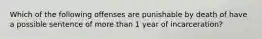 Which of the following offenses are punishable by death of have a possible sentence of more than 1 year of incarceration?