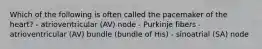 Which of the following is often called the pacemaker of the heart? - atrioventricular (AV) node - Purkinje fibers - atrioventricular (AV) bundle (bundle of His) - sinoatrial (SA) node