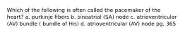 Which of the following is often called the pacemaker of the heart? a. purkinje fibers b. sinoatrial (SA) node c. atrioventricular (AV) bundle ( bundle of His) d. atrioventricular (AV) node pg. 365
