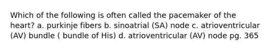 Which of the following is often called the pacemaker of the heart? a. purkinje fibers b. sinoatrial (SA) node c. atrioventricular (AV) bundle ( bundle of His) d. atrioventricular (AV) node pg. 365