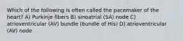 Which of the following is often called the pacemaker of the heart? A) Purkinje fibers B) sinoatrial (SA) node C) atrioventricular (AV) bundle (bundle of His) D) atrioventricular (AV) node