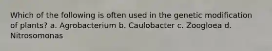 Which of the following is often used in the genetic modification of plants? a. Agrobacterium b. Caulobacter c. Zoogloea d. Nitrosomonas