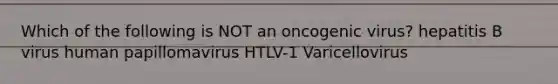 Which of the following is NOT an oncogenic virus? hepatitis B virus human papillomavirus HTLV-1 Varicellovirus