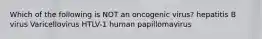 Which of the following is NOT an oncogenic virus? hepatitis B virus Varicellovirus HTLV-1 human papillomavirus