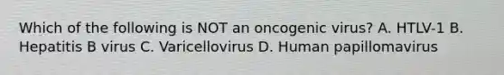 Which of the following is NOT an oncogenic virus? A. HTLV-1 B. Hepatitis B virus C. Varicellovirus D. Human papillomavirus