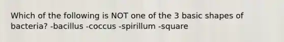 Which of the following is NOT one of the 3 basic shapes of bacteria? -bacillus -coccus -spirillum -square