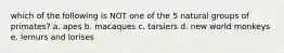 which of the following is NOT one of the 5 natural groups of primates? a. apes b. macaques c. tarsiers d. new world monkeys e. lemurs and lorises