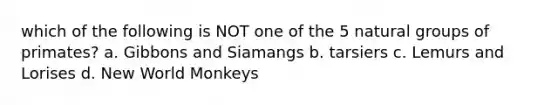 which of the following is NOT one of the 5 natural groups of primates? a. Gibbons and Siamangs b. tarsiers c. Lemurs and Lorises d. New World Monkeys