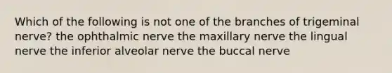 Which of the following is not one of the branches of trigeminal nerve? the ophthalmic nerve the maxillary nerve the lingual nerve the inferior alveolar nerve the buccal nerve