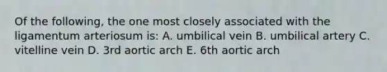 Of the following, the one most closely associated with the ligamentum arteriosum is: A. umbilical vein B. umbilical artery C. vitelline vein D. 3rd aortic arch E. 6th aortic arch