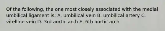 Of the following, the one most closely associated with the medial umbilical ligament is: A. umbilical vein B. umbilical artery C. vitelline vein D. 3rd aortic arch E. 6th aortic arch