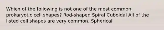 Which of the following is not one of the most common prokaryotic cell shapes? Rod-shaped Spiral Cuboidal All of the listed cell shapes are very common. Spherical