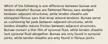 Which of the following is one difference between bursae and tendon sheaths? Bursae are flattened fibrous sacs wedged between adjacent structures, while tendon sheaths are elongated fibrous sacs that wrap around tendons. Bursae serve as cushioning fat pads between adjacent structures, while tendon sheaths reduce friction between adjacent structures. Bursae contain a thin film of synovial fluid, while tendon sheaths lack synovial fluid altogether. Bursae are only found in synovial joints, while tendon sheaths are only found in fibrous joints.