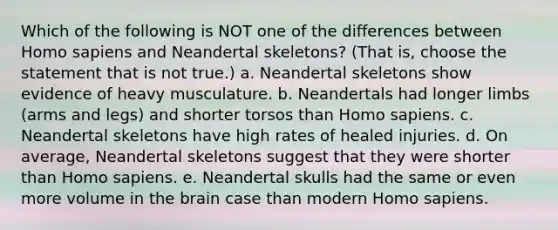 Which of the following is NOT one of the differences between Homo sapiens and Neandertal skeletons? (That is, choose the statement that is not true.) a. Neandertal skeletons show evidence of heavy musculature. b. Neandertals had longer limbs (arms and legs) and shorter torsos than Homo sapiens. c. Neandertal skeletons have high rates of healed injuries. d. On average, Neandertal skeletons suggest that they were shorter than Homo sapiens. e. Neandertal skulls had the same or even more volume in the brain case than modern Homo sapiens.