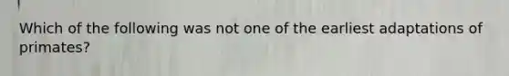 Which of the following was not one of the earliest adaptations of primates?
