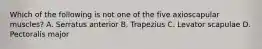 Which of the following is not one of the five axioscapular muscles? A. Serratus anterior B. Trapezius C. Levator scapulae D. Pectoralis major