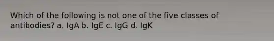 Which of the following is not one of the five classes of antibodies? a. IgA b. IgE c. IgG d. IgK