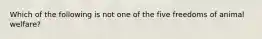 Which of the following is not one of the five freedoms of animal welfare?