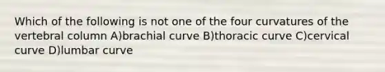 Which of the following is not one of the four curvatures of the vertebral column A)brachial curve B)thoracic curve C)cervical curve D)lumbar curve