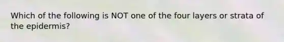 Which of the following is NOT one of the four layers or strata of the epidermis?