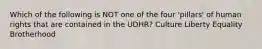 Which of the following is NOT one of the four 'pillars' of human rights that are contained in the UDHR? Culture Liberty Equality Brotherhood