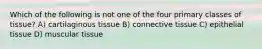 Which of the following is not one of the four primary classes of tissue? A) cartilaginous tissue B) connective tissue C) epithelial tissue D) muscular tissue